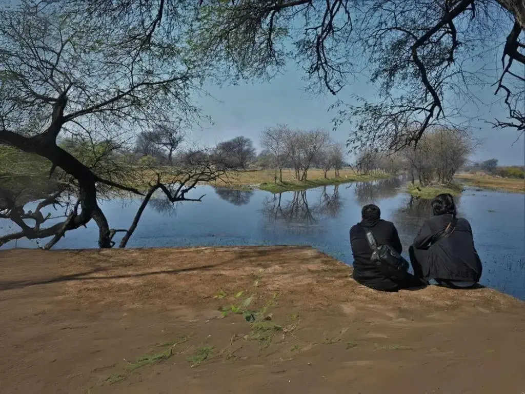 keoladeo-park-Gauri-the-explorer